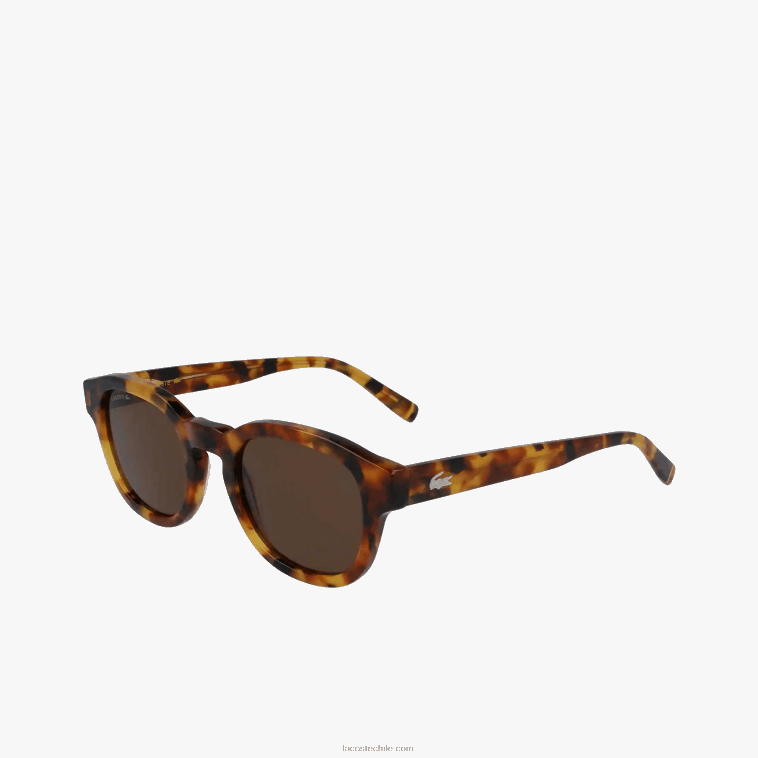 hombres Lacoste la habana brn 214 gafas de sol ovaladas de bioacetato de national Geographic N6XZ22317