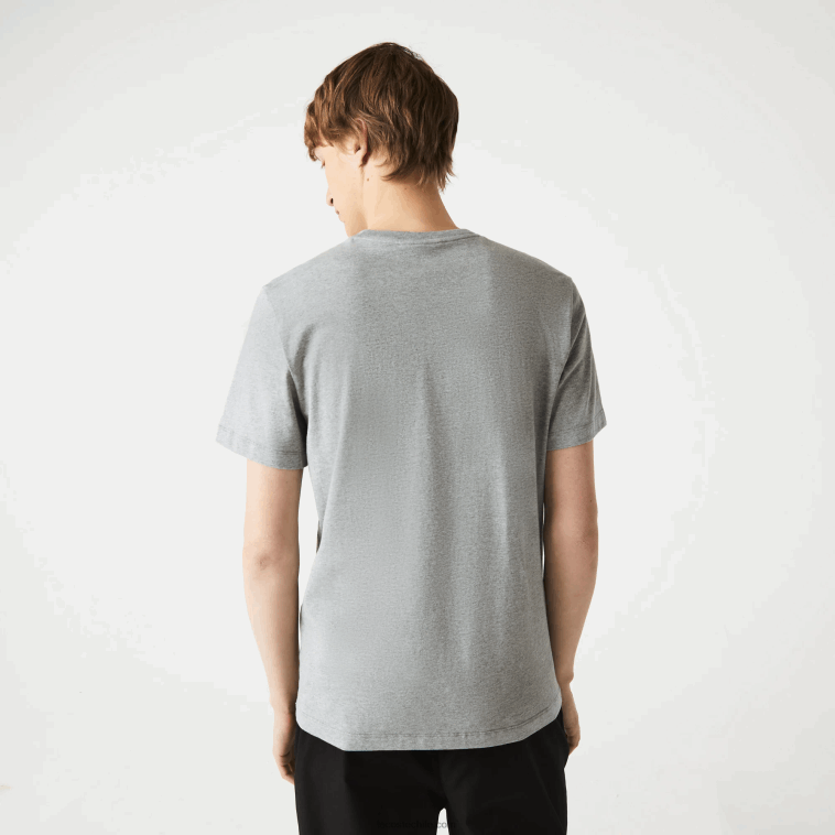 hombres Lacoste lomo gris 4jv camiseta de algodón con cuello redondo y estampado de cocodrilo N6XZ2760