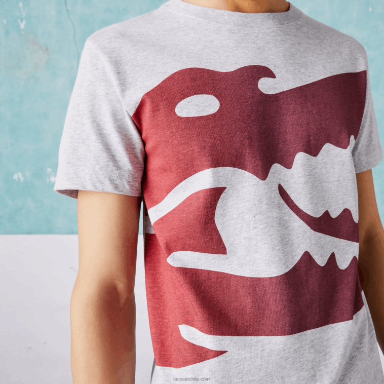 hombres Lacoste lomo gris cca camiseta sport novak djokovic croco algodón orgánico N6XZ2871