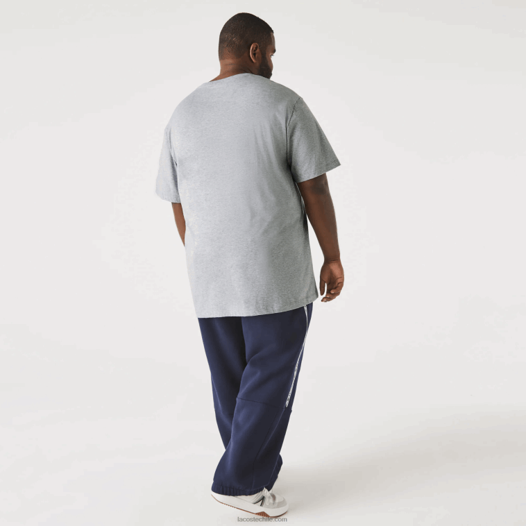 hombres Lacoste lomo gris cca playera con cuello en V N6XZ2801