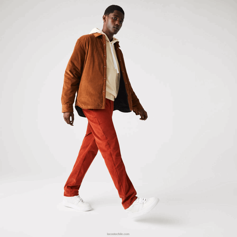 hombres Lacoste marrón ql2 pantalones rectos de pana N6XZ21643