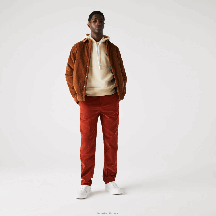 hombres Lacoste marrón ql2 pantalones rectos de pana N6XZ21643