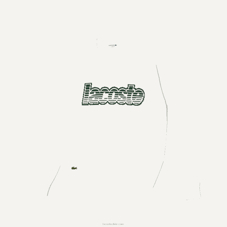 hombres Lacoste blanco verde x0n jersey de punto con cuello redondo N6XZ2501