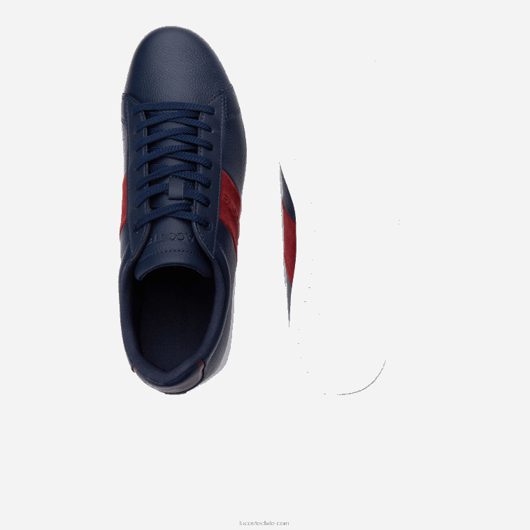 hombres Lacoste azul marino y rojo oscuro 5a5 zapatillas carnaby evo de piel y ante N6XZ21717