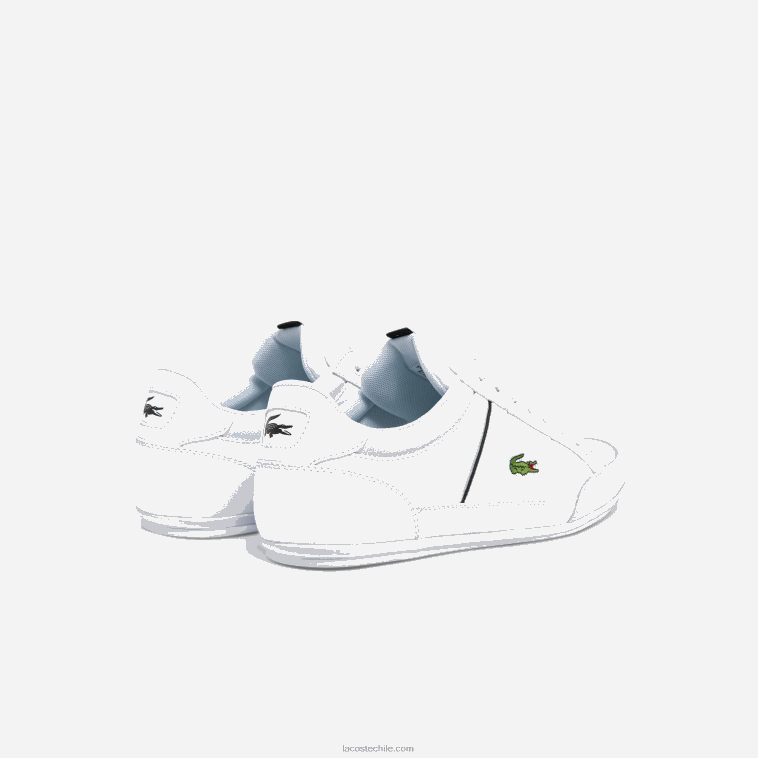 hombres Lacoste blanco y negro 147 zapatillas chaymon de piel y sintético N6XZ21724