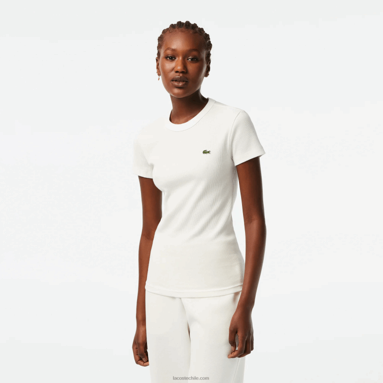 mujer Lacoste blanco 70v camiseta slim fit de algodón orgánico N6XZ22384 mujer Lacoste blanco 70v camiseta slim fit de algodón orgánico N6XZ22384
